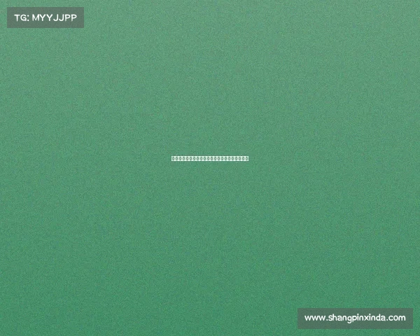 激情澎湃荷兰荣耀赛事顶尖对决荣耀再现巅峰之战